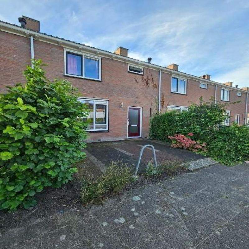 Afbeelding 4 van 8