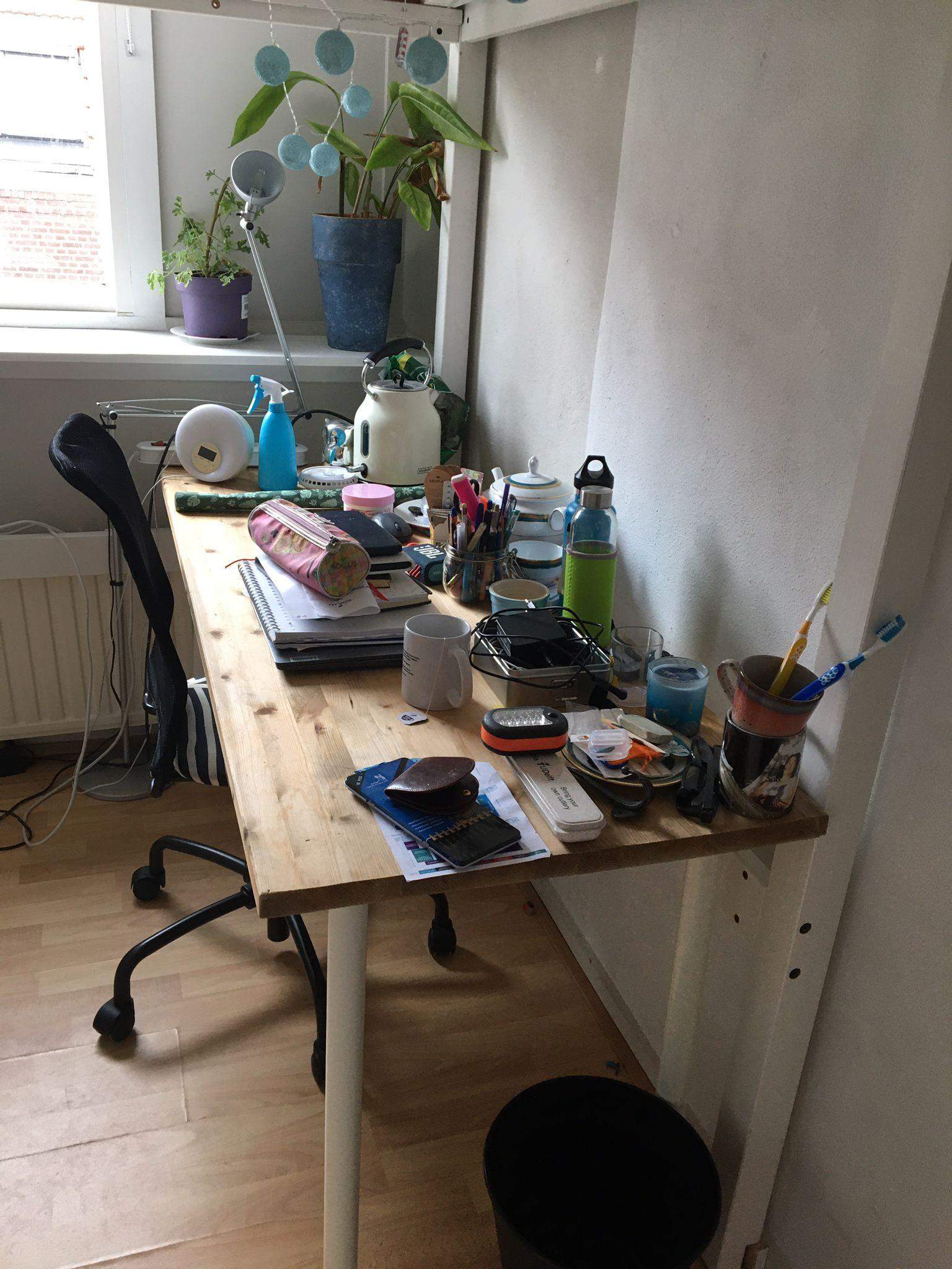 Bild 3 von 10