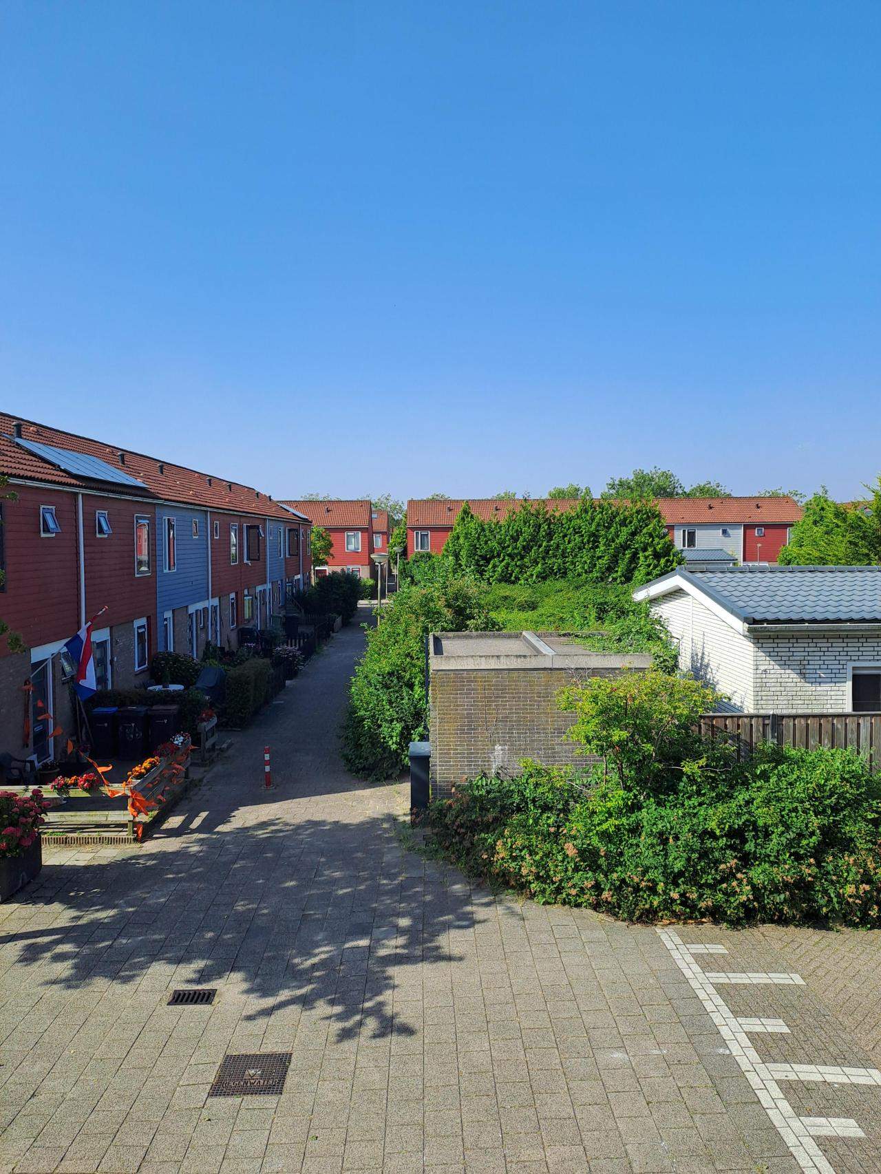 Afbeelding 2 van 9