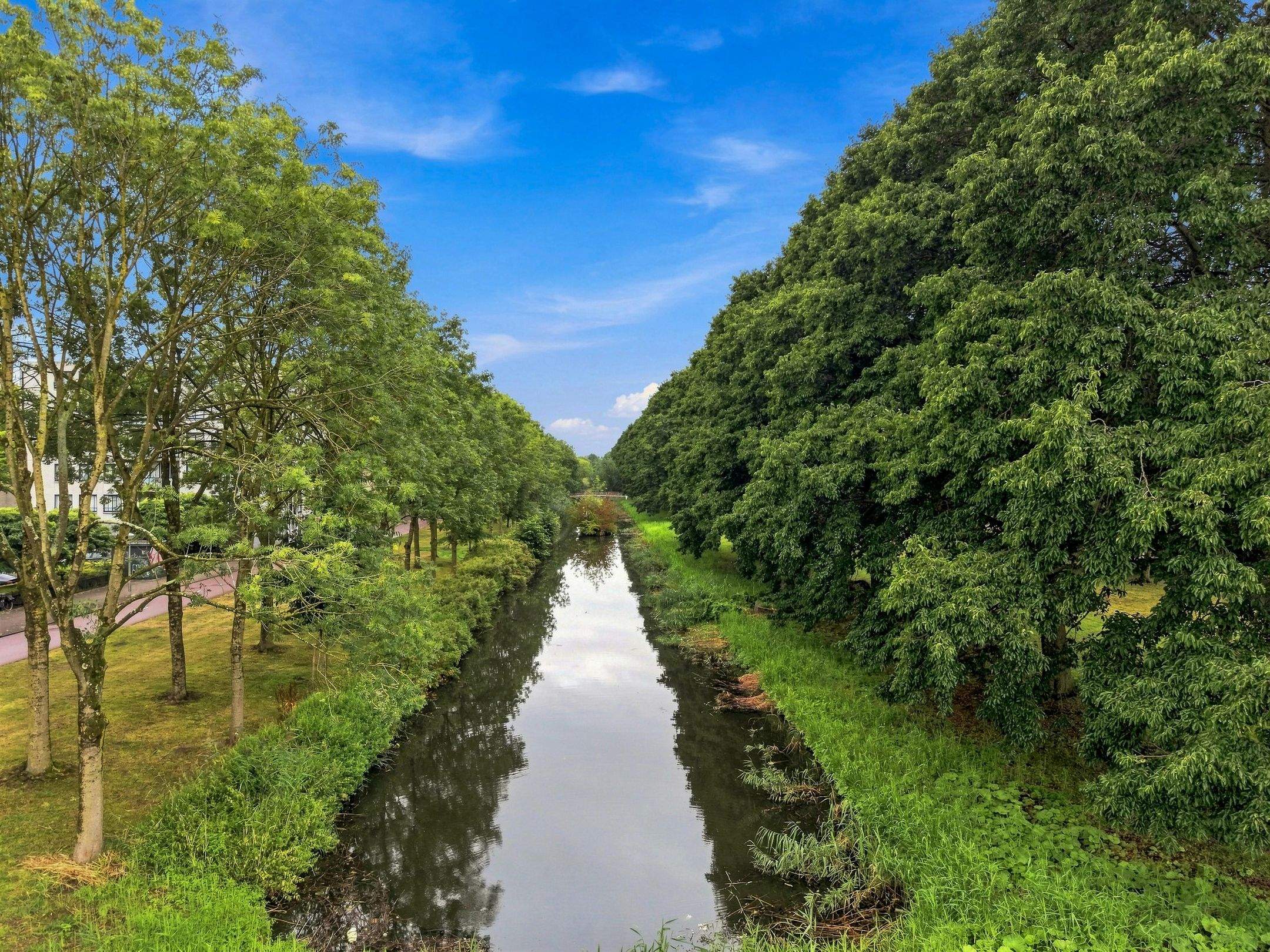Afbeelding 24 van 25