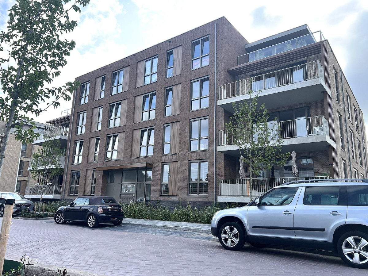 Afbeelding 2 van 30
