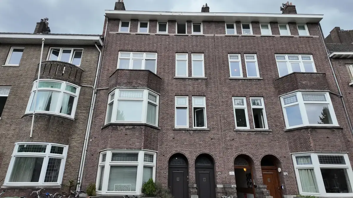 Afbeelding 1 van 10