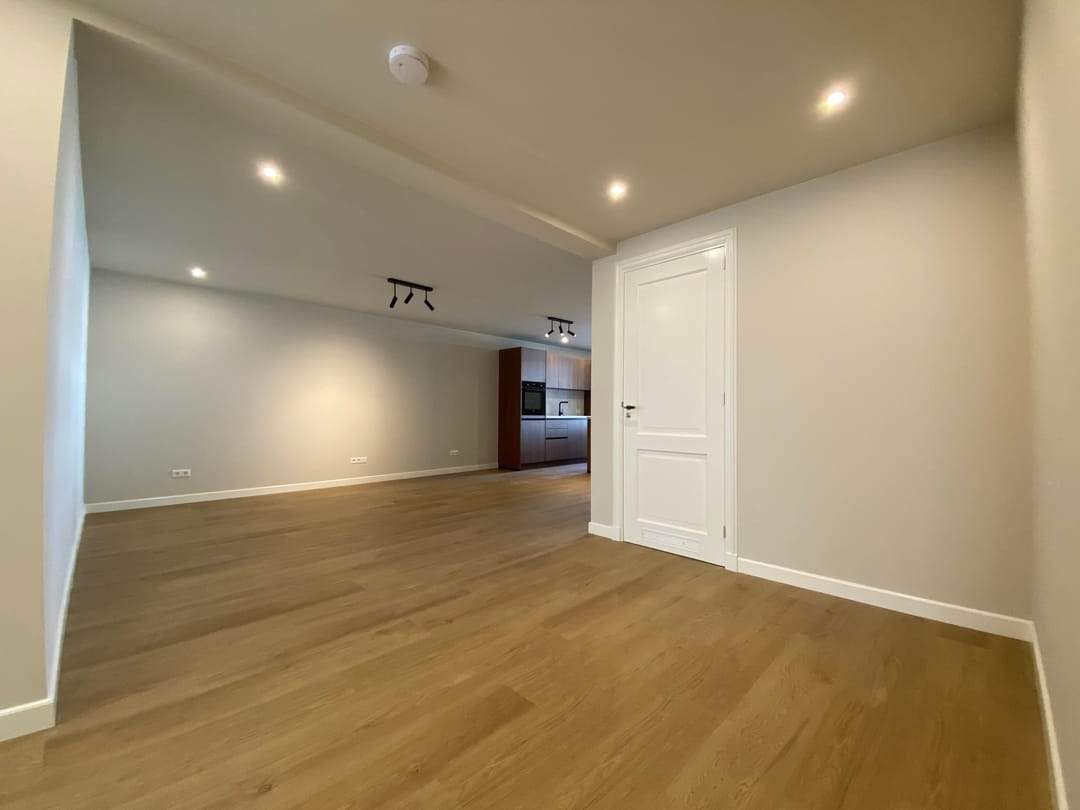 Image 8 of 24