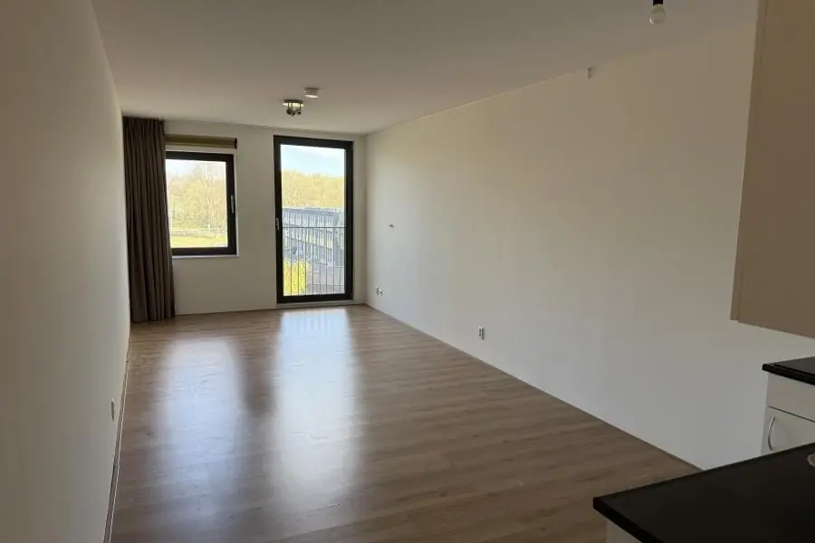 Image 19 of 20