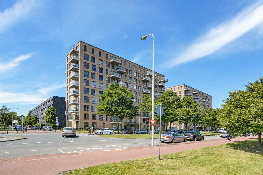 Afbeelding 1 van 12