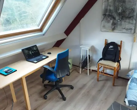 Chambre Meublée Oude Rijksstraatweg, Doorn - À Louer