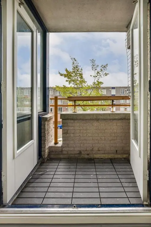 Bild 6 von 22