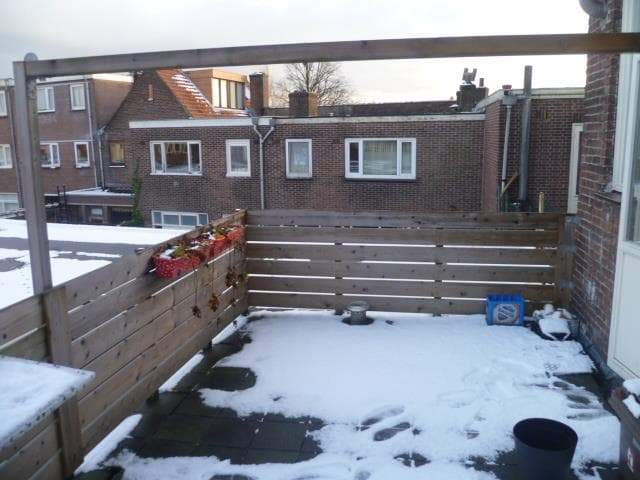Afbeelding 6 van 7