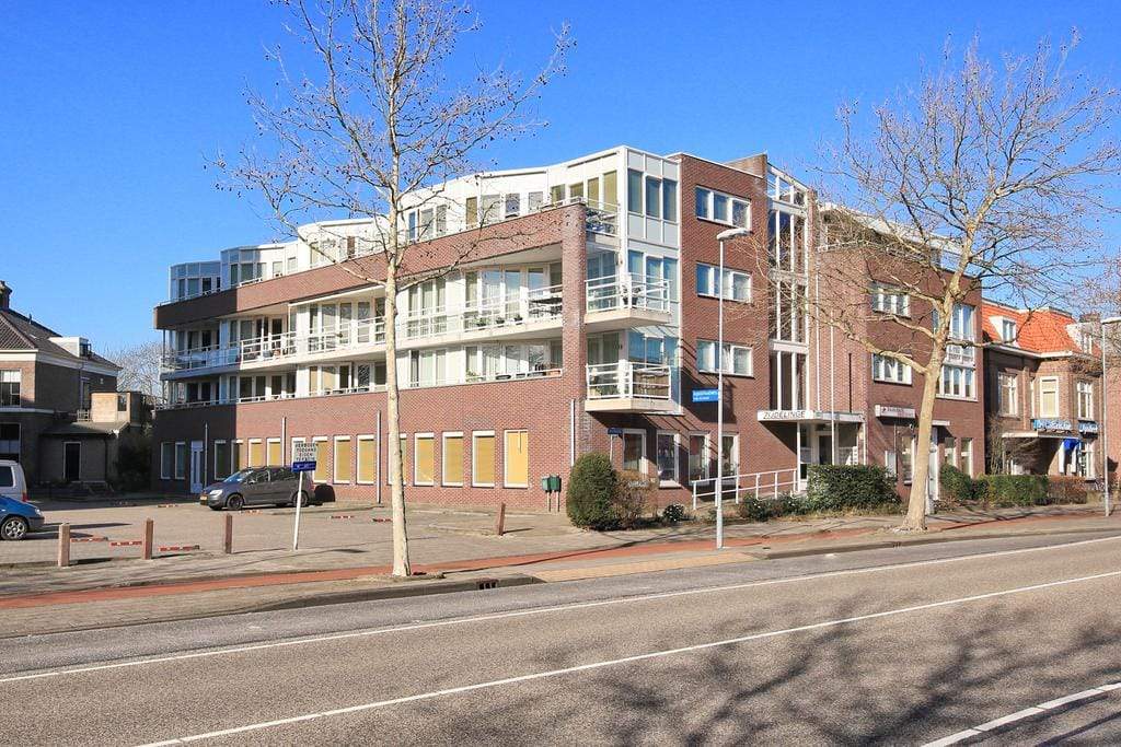 Afbeelding 1 van 12