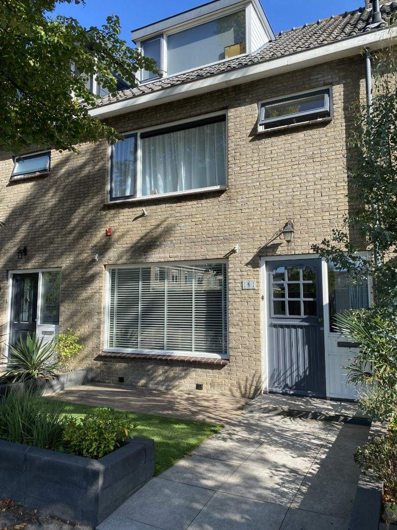 Afbeelding 1 van 42
