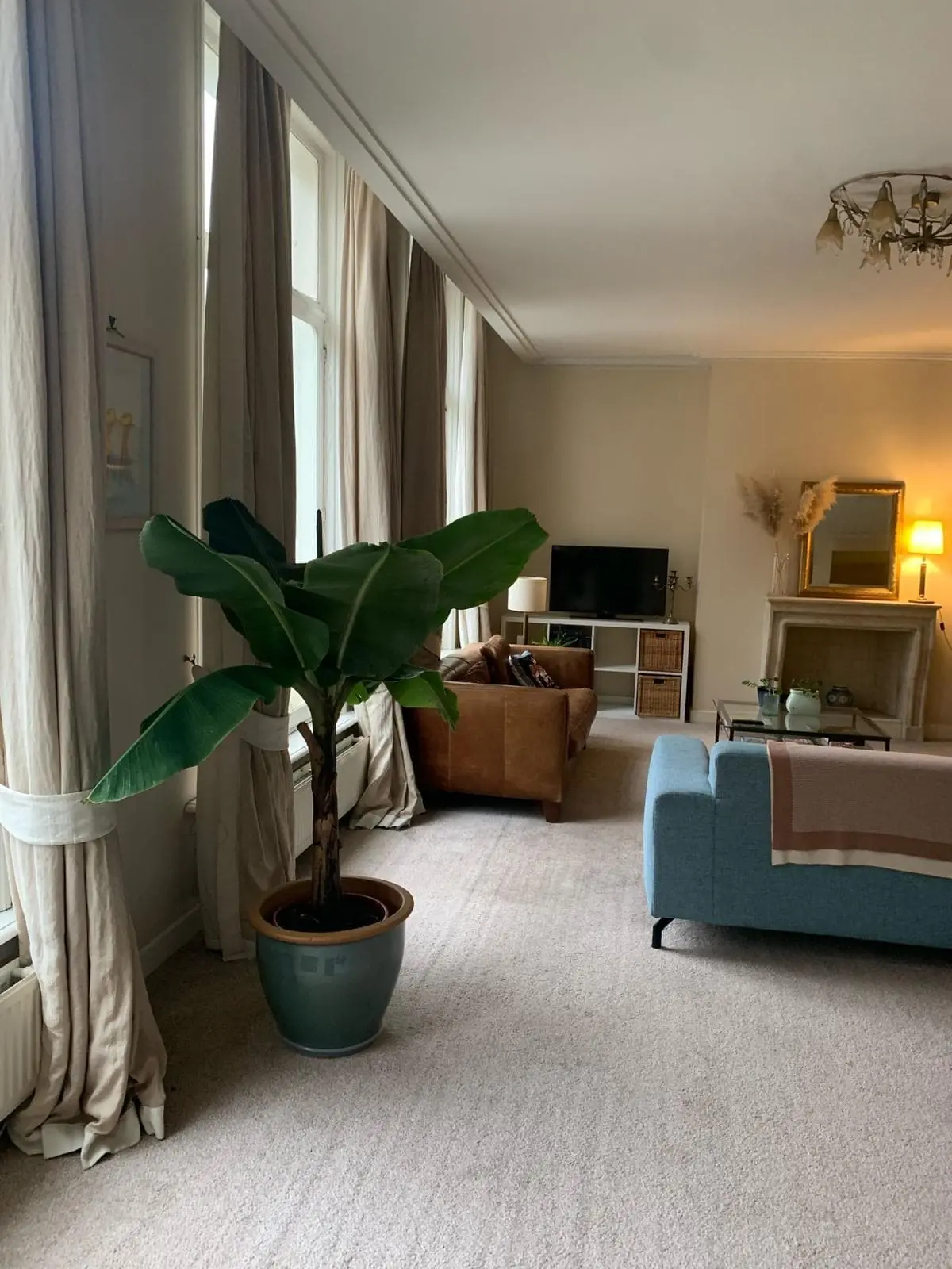 Image 4 of 8