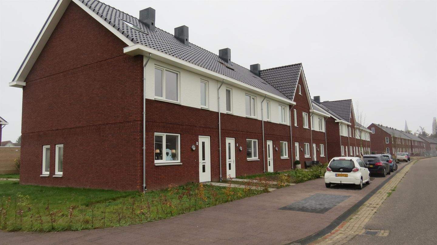Bild 1 von 12