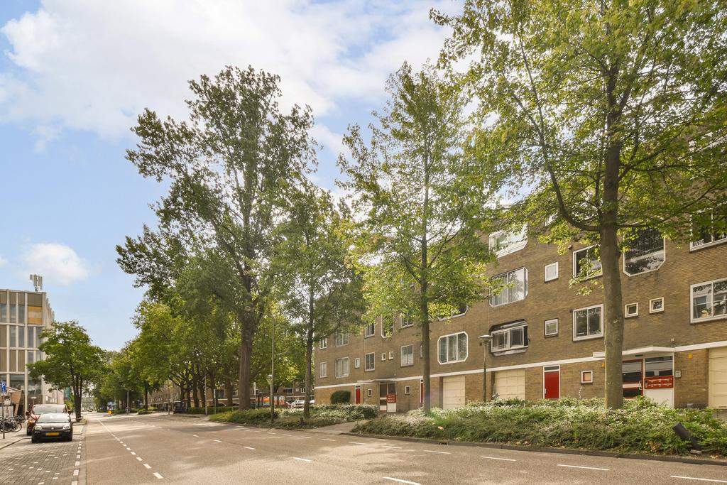 Afbeelding 3 van 28
