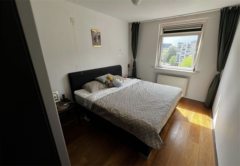 Image 4 of 8