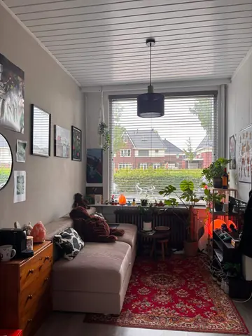 Zimmer Rozenstraat, Enschede - Zu Vermieten