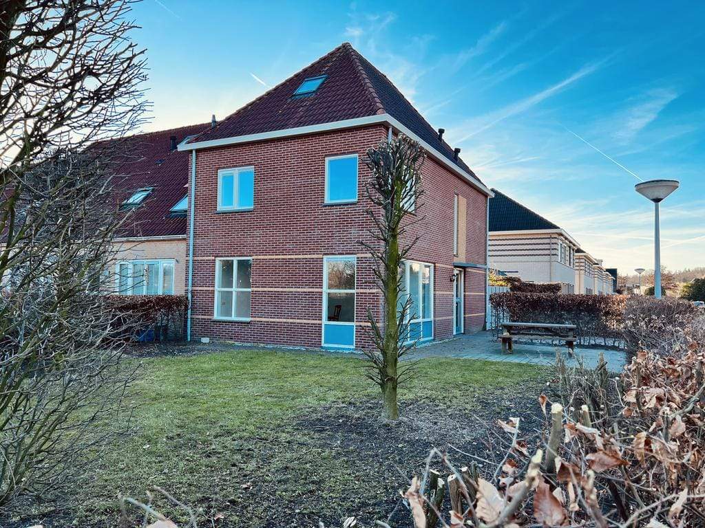 Afbeelding 1 van 12