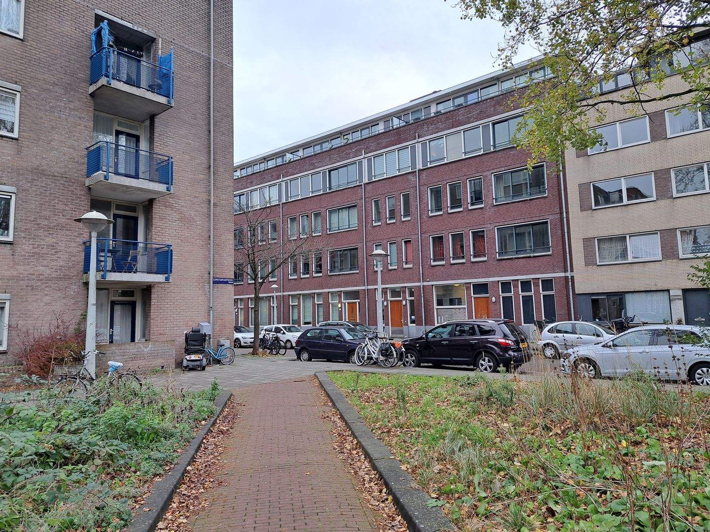 Afbeelding 2 van 12