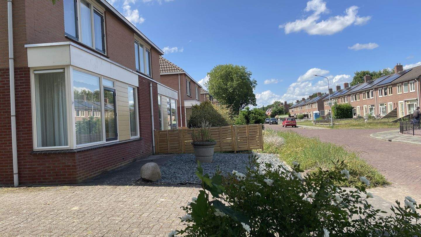 Afbeelding 2 van 12