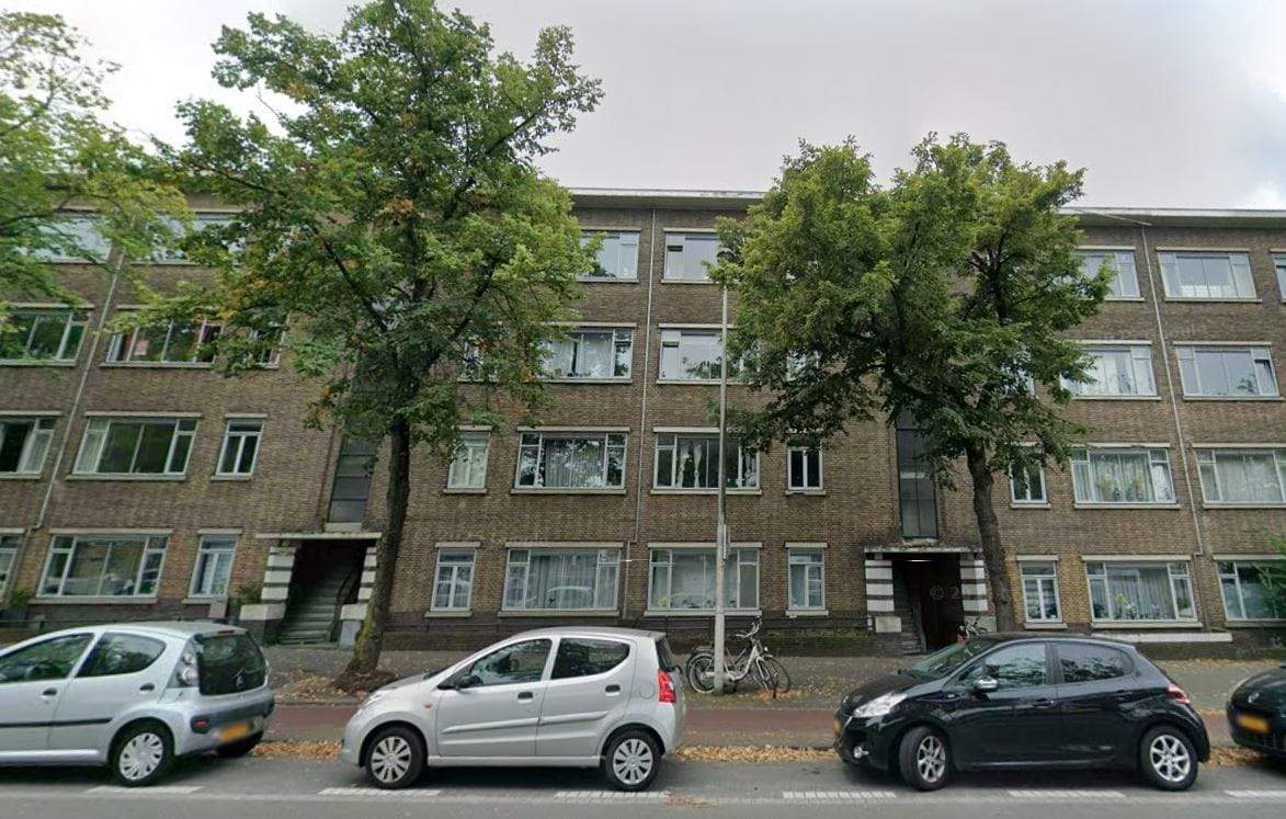 Afbeelding 1 van 12