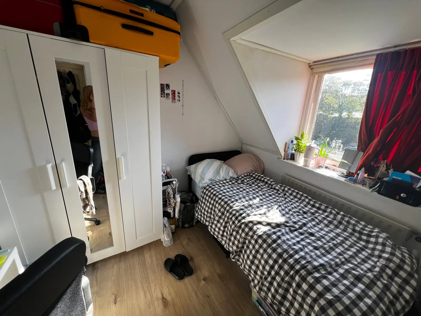 Afbeelding 2 van 3