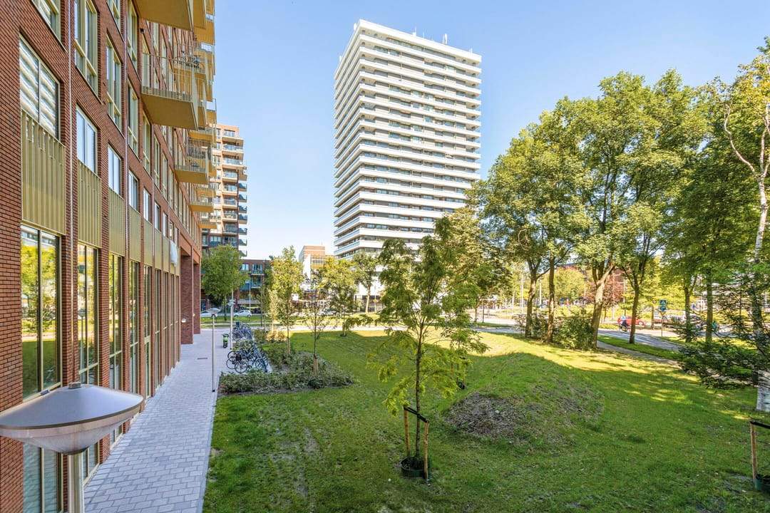 Afbeelding 11 van 11