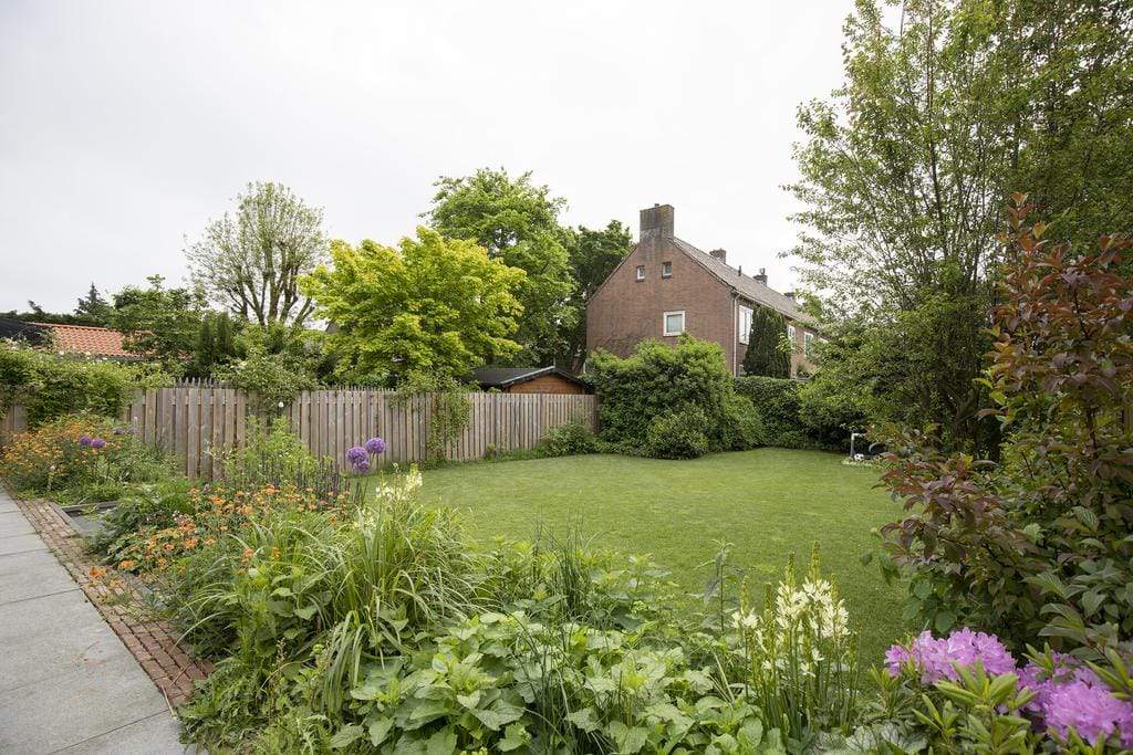 Image 11 of 33
