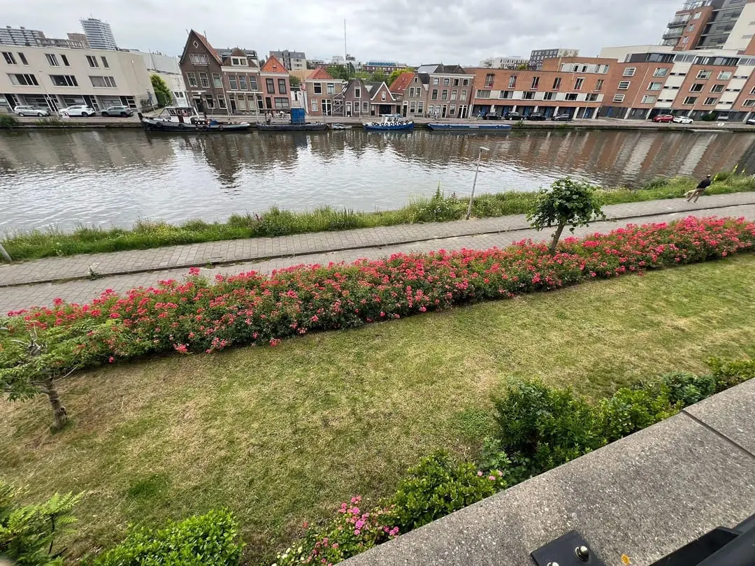 Afbeelding 8 van 27