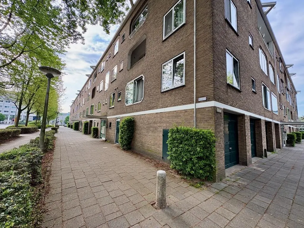 Image 21 of 21