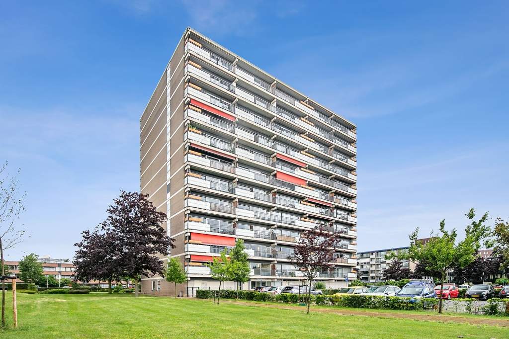Image 19 of 19