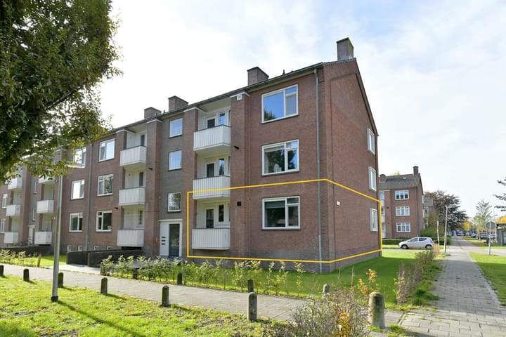 Afbeelding 1 van 15