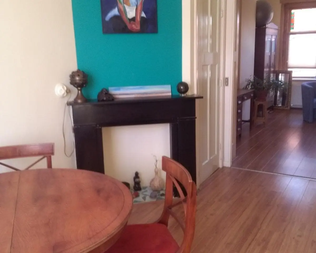 Furnished 3-Room Apartment Hoenderloostraat, Den Haag - For Rent