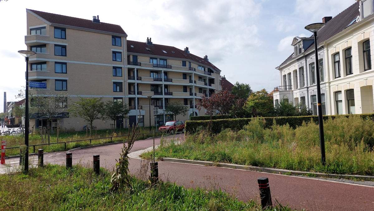 Bild 2 von 20