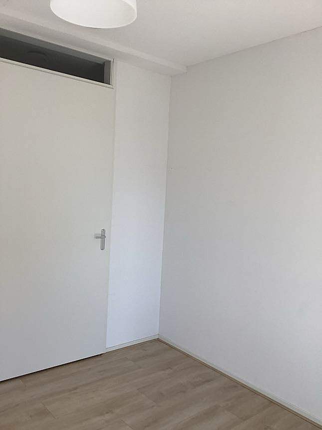 Image 8 of 8