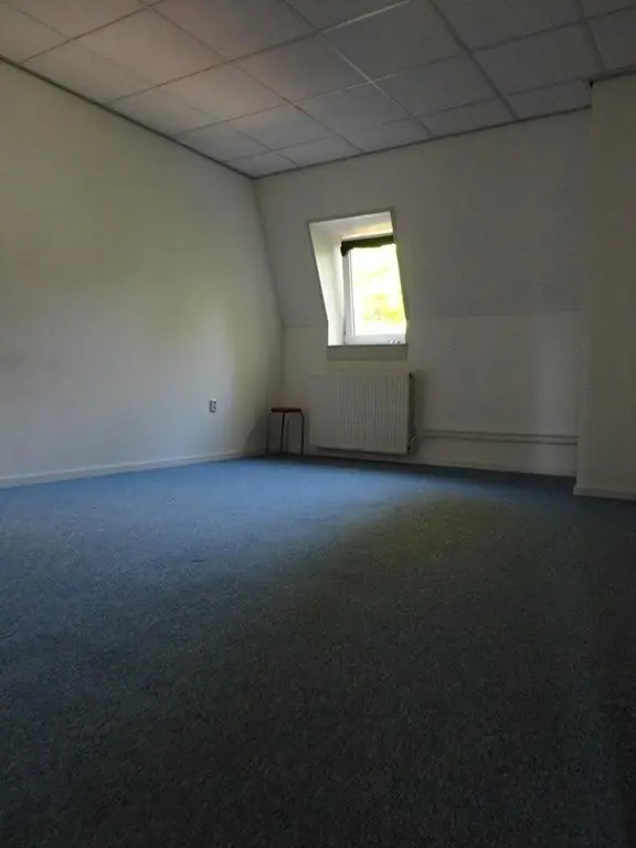 Image 8 of 14