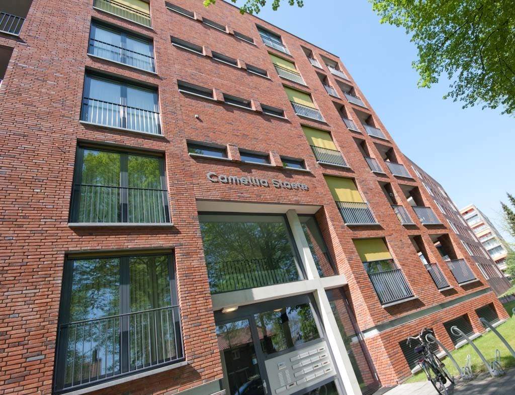 Afbeelding 2 van 34