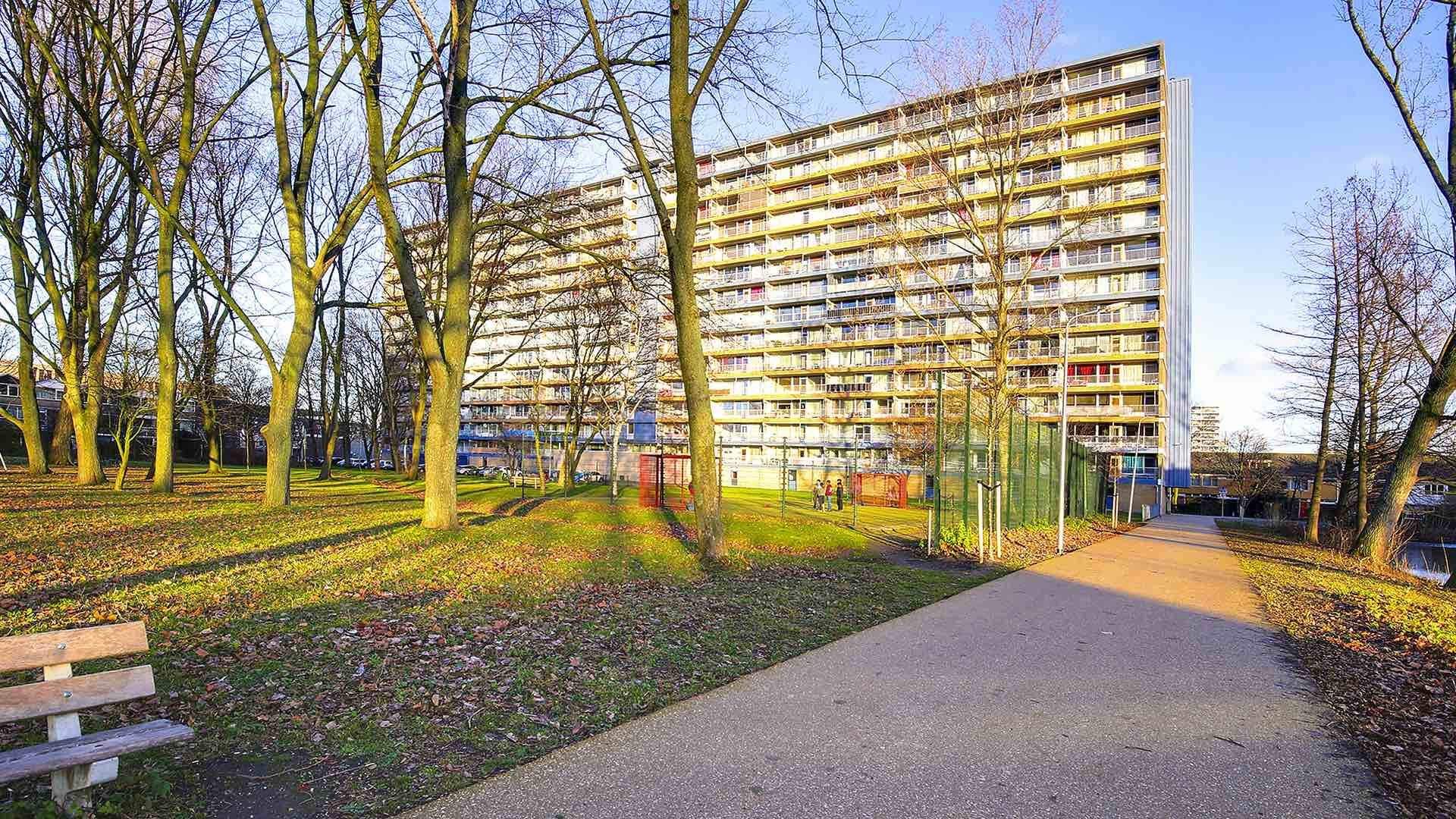 Afbeelding 1 van 12