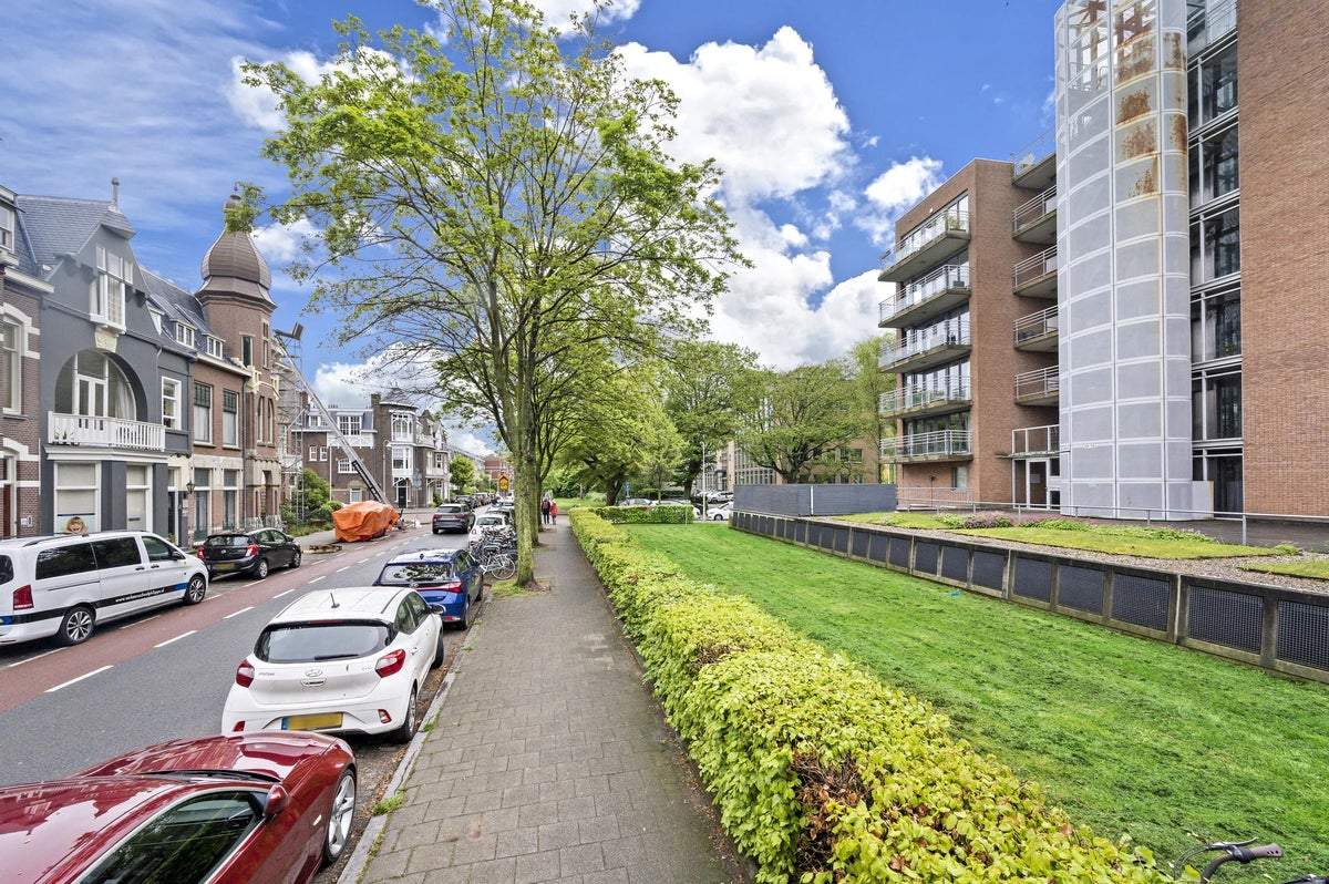 Afbeelding 2 van 21