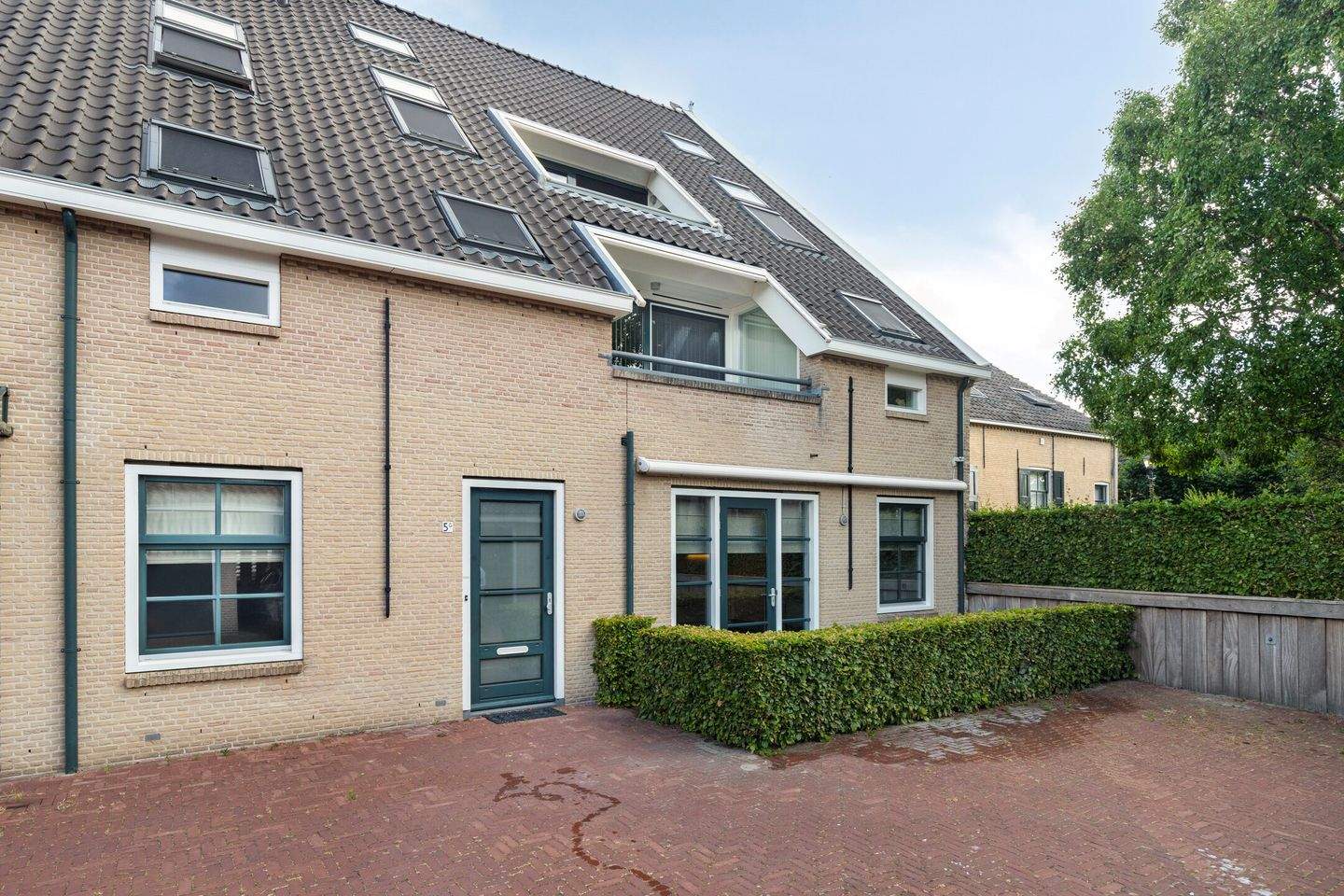 Afbeelding 1 van 12