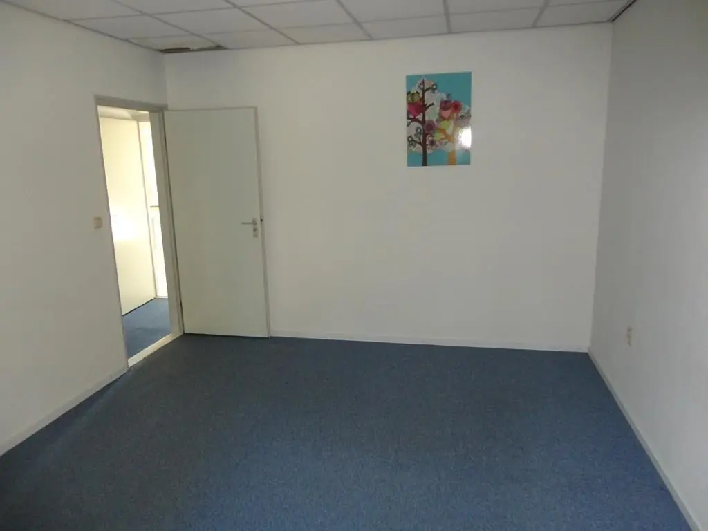 Image 11 of 14