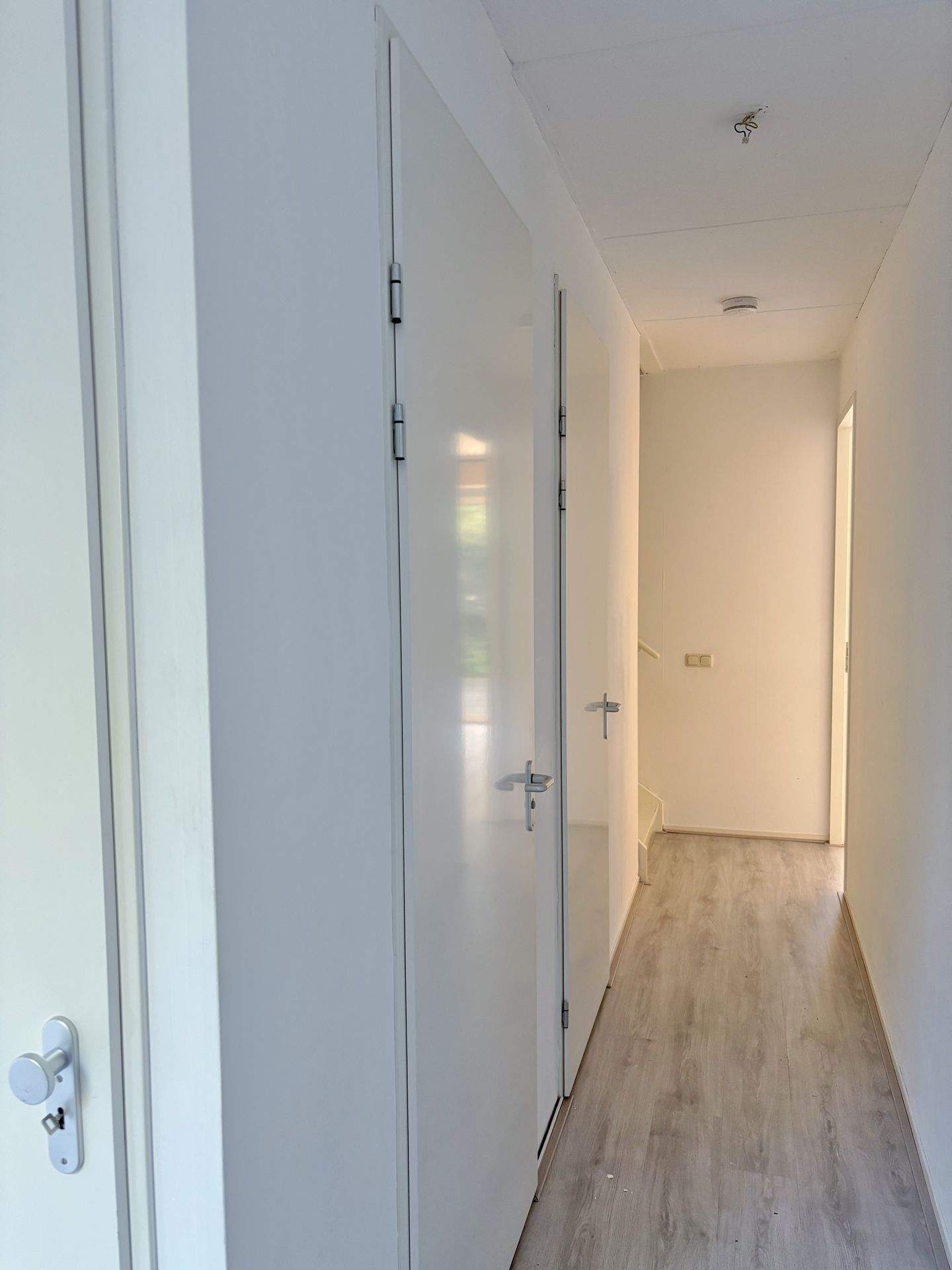 Bild 3 von 12