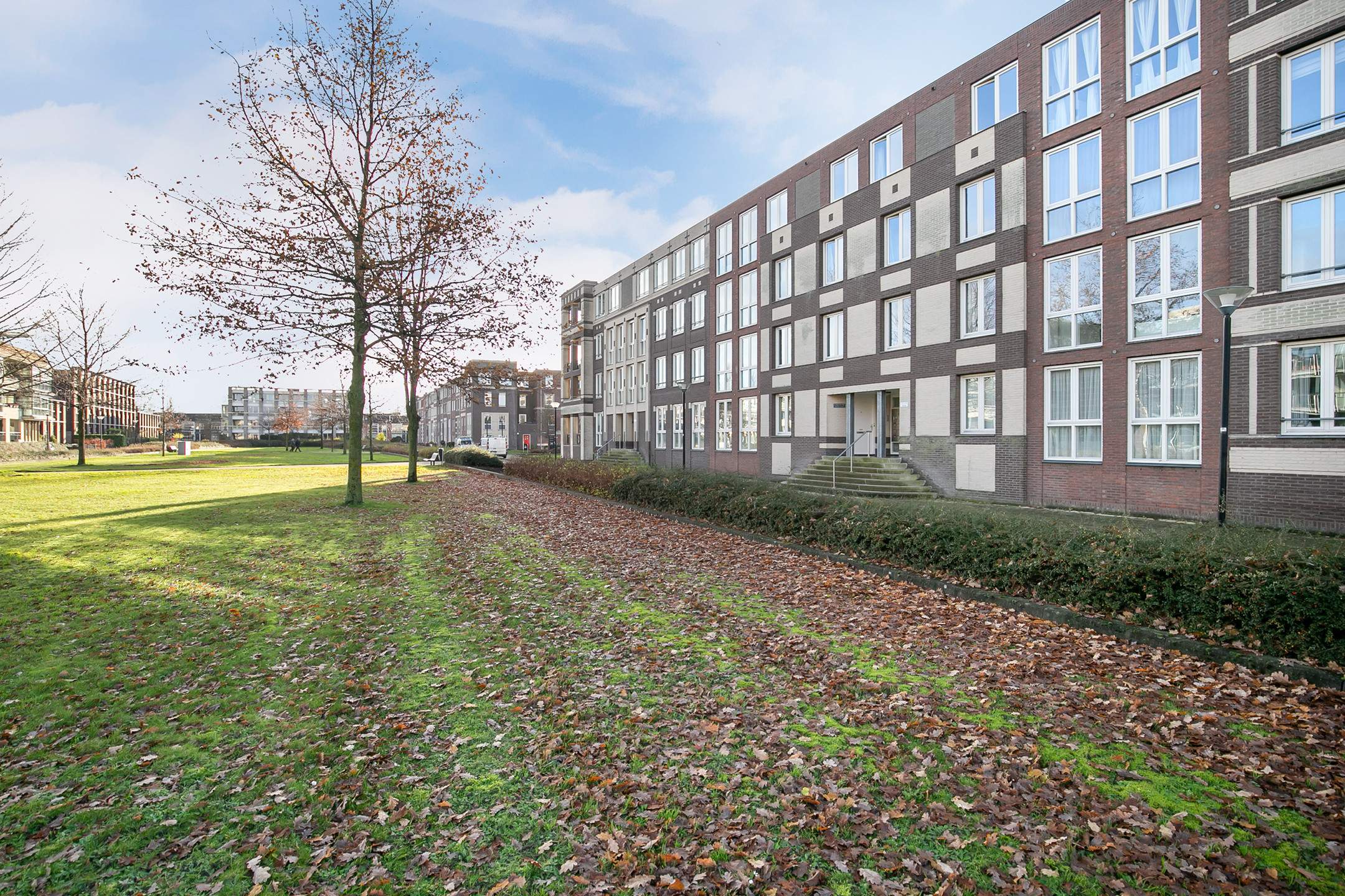Afbeelding 1 van 26