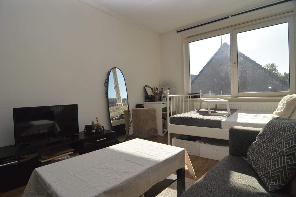 Bild 2 von 11
