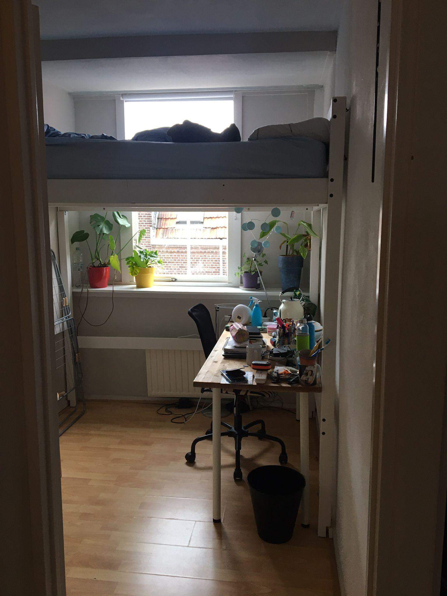 Bild 1 von 10