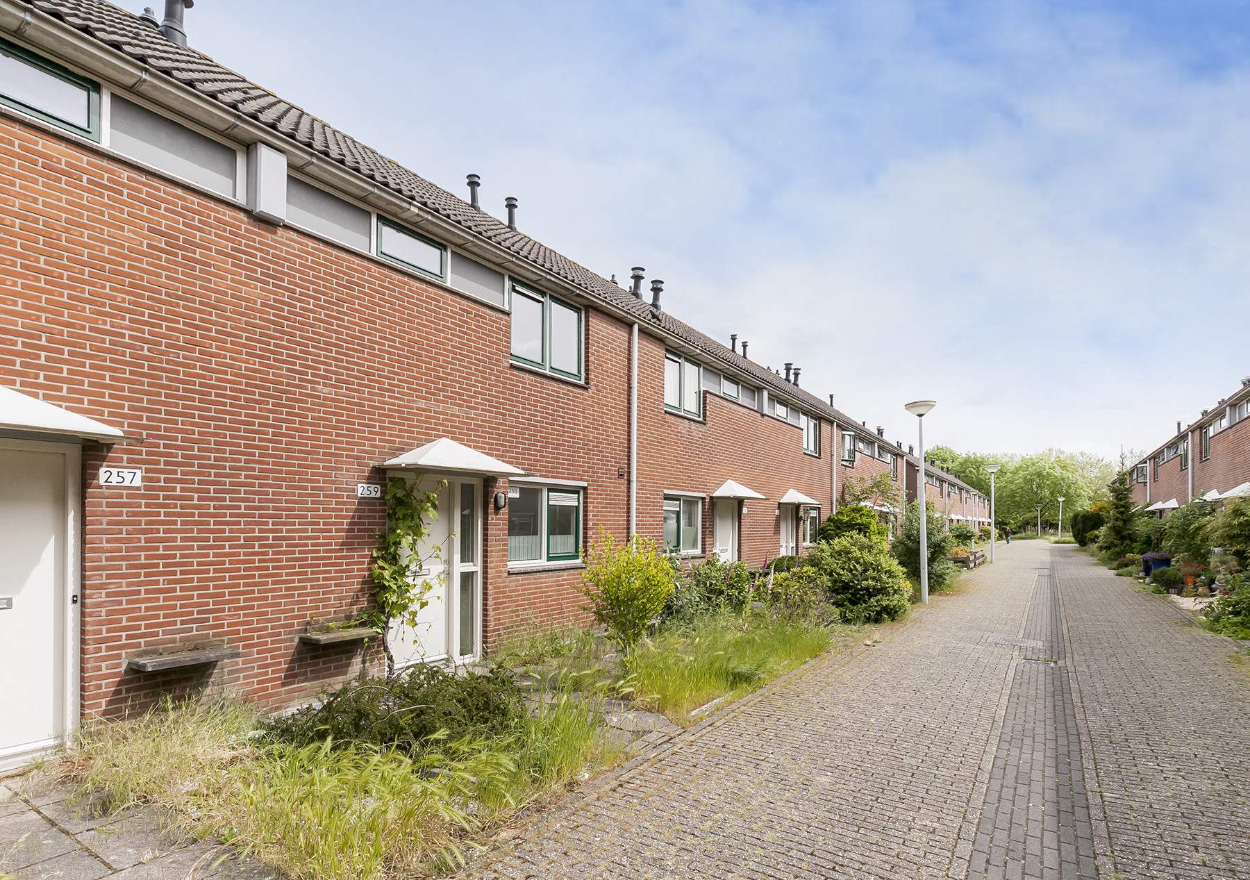 Afbeelding 2 van 19