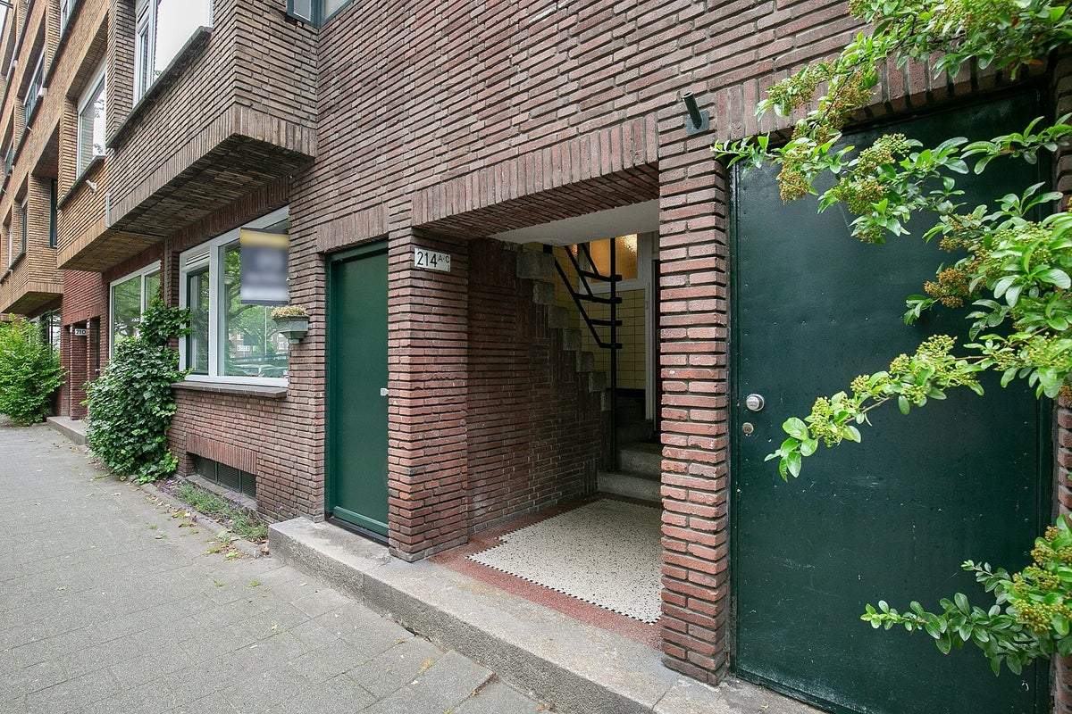 Afbeelding 3 van 16