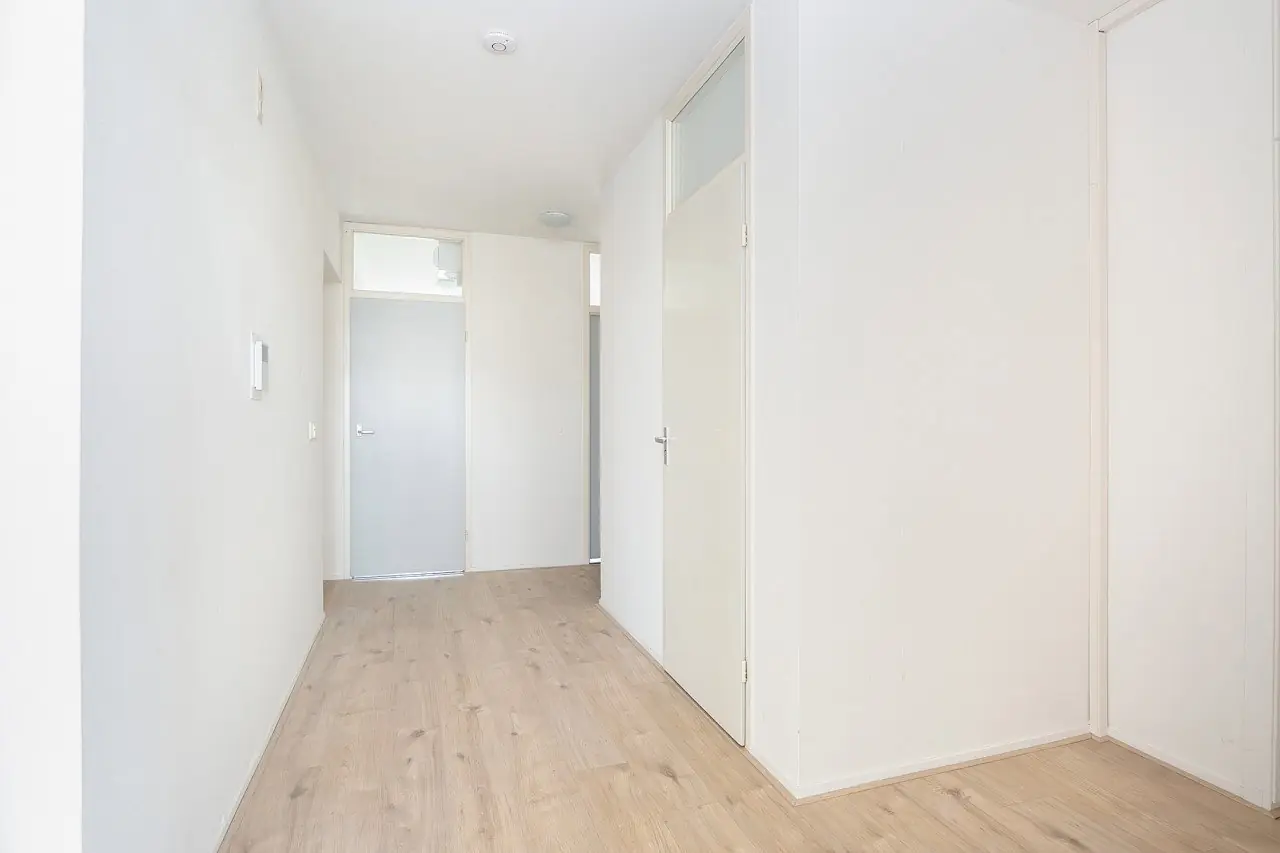 Apartment Westkapellelaan 44, The Hague - For Rent