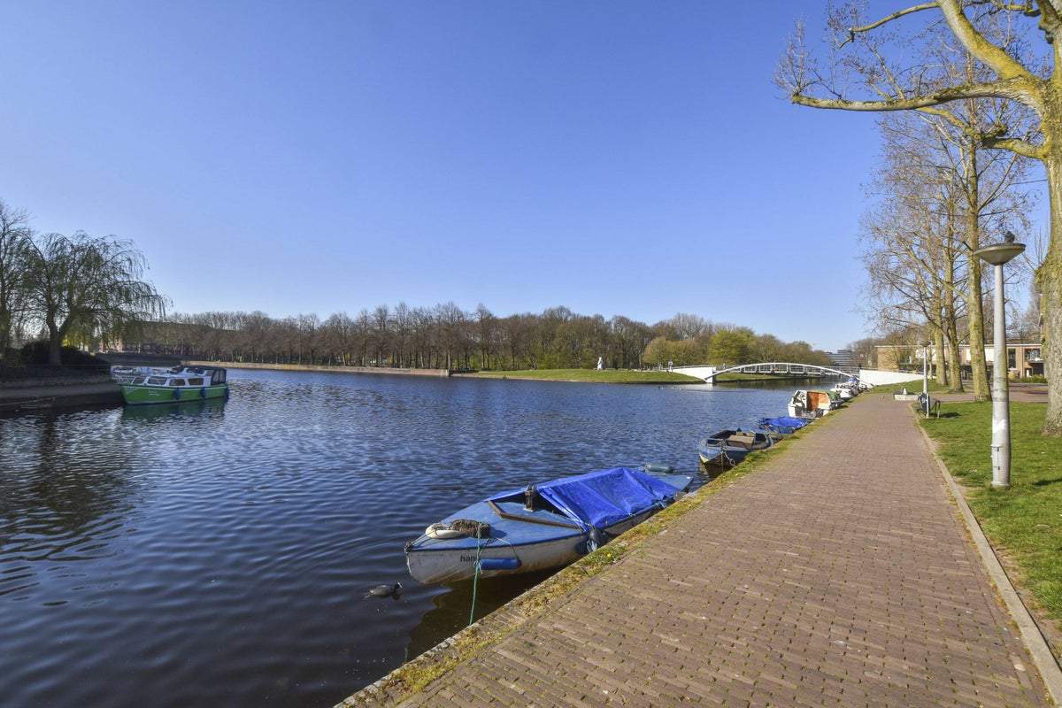 Afbeelding 4 van 15