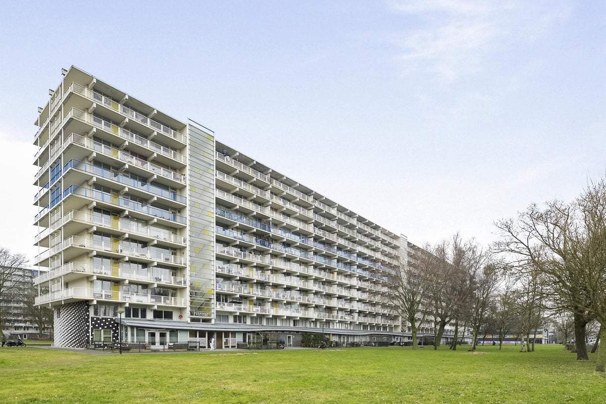 Afbeelding 1 van 30