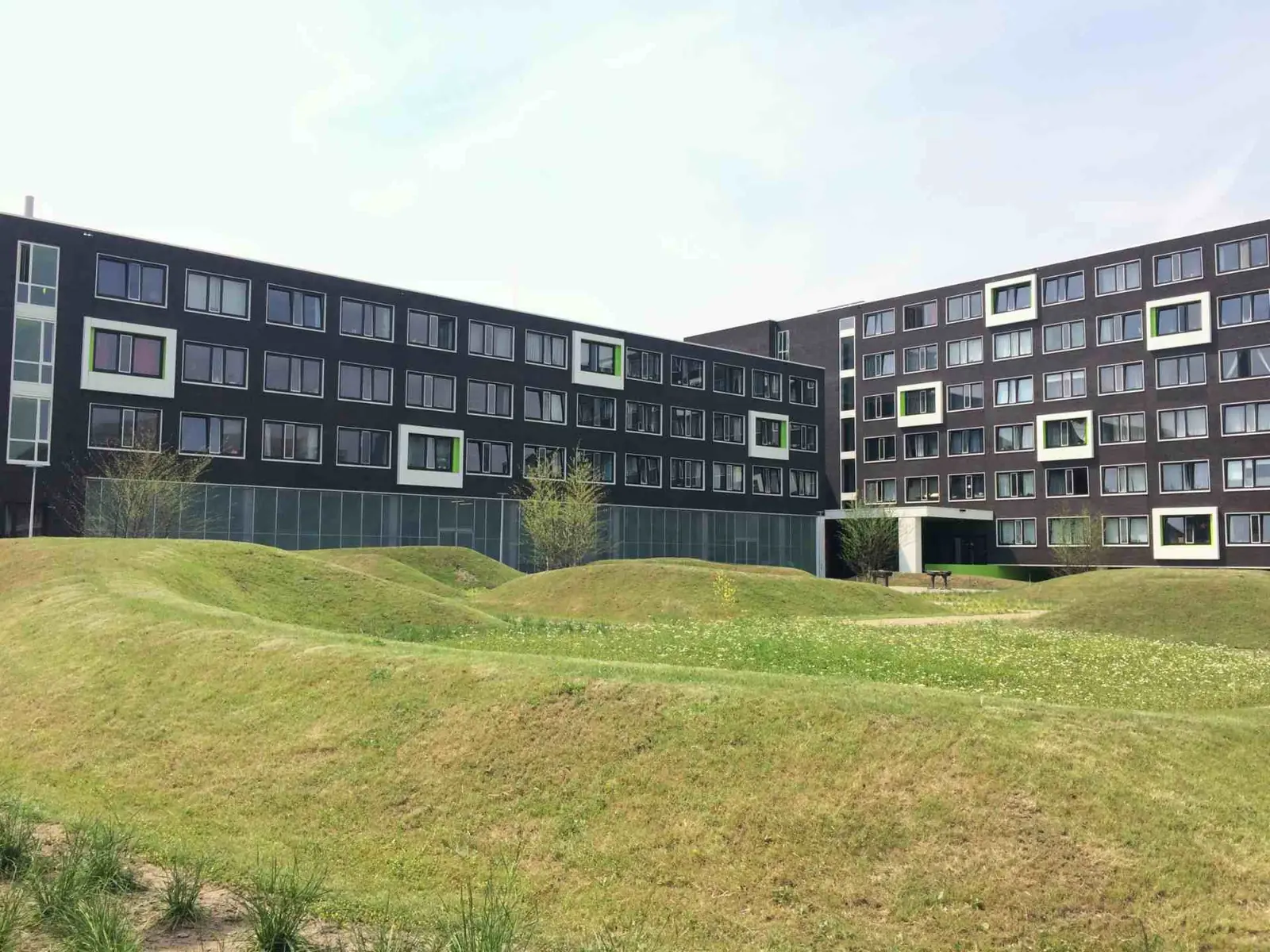 Afbeelding 3 van 9