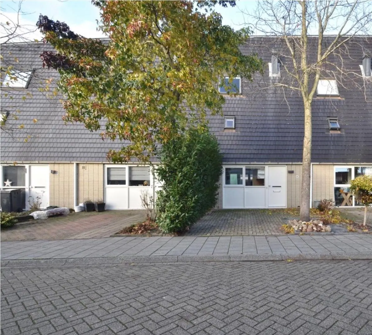Afbeelding 1 van 1